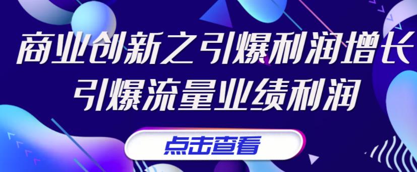 张琦《商业创新之引爆利润增长》引爆流量业绩利润