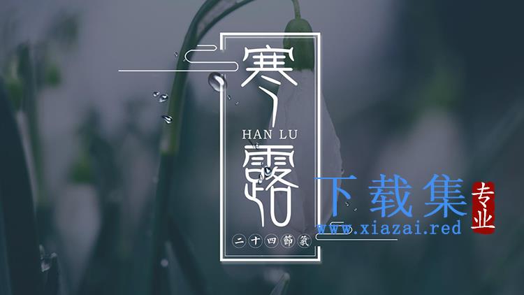 简约雅致寒露节气介绍PPT模板