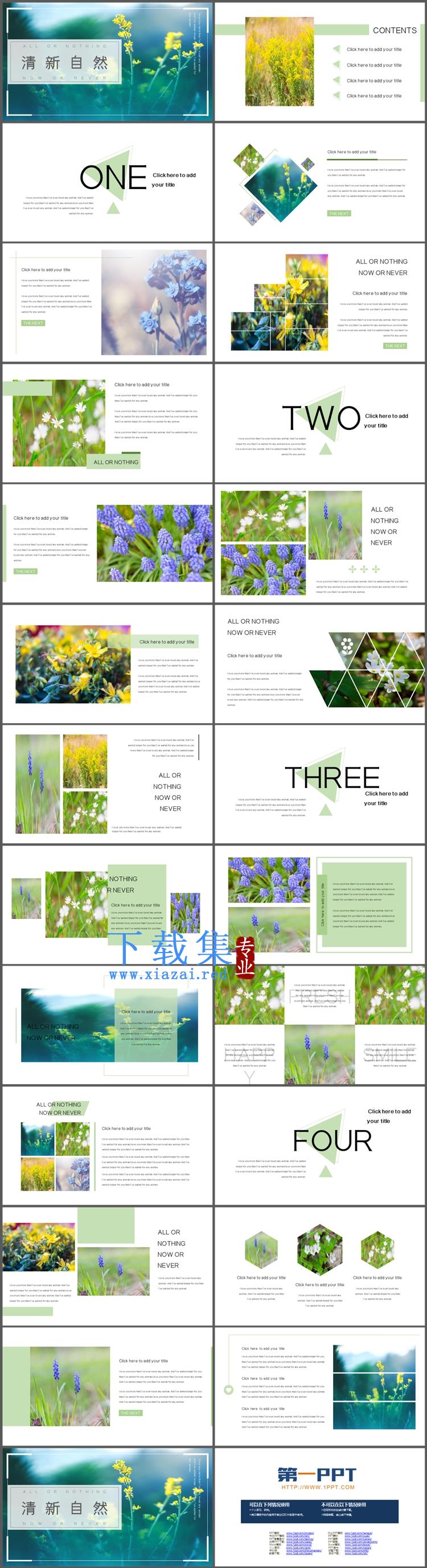 绿色清新杂志风植物鲜花PPT模板免费下载  第2张