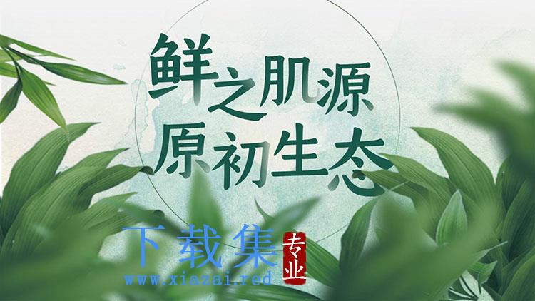 绿叶背景的化妆品产品宣传介绍PPT模板下载