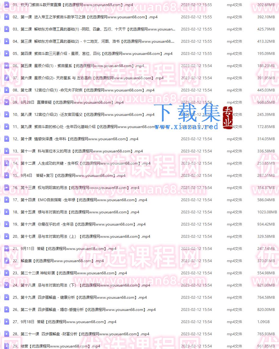 陈小飞 钦天门紫微斗数 基础班29集