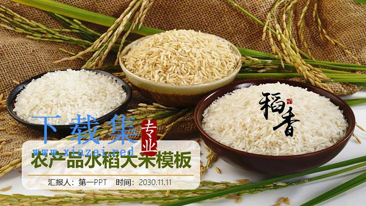 稻穗和三碗大米背景的稻香主题PPT模板