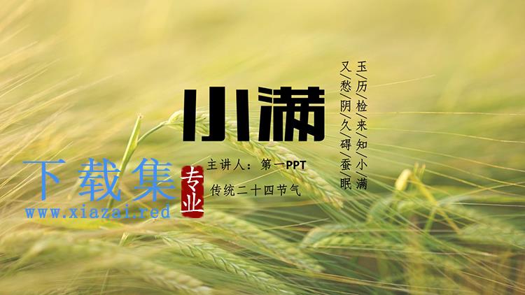 绿色麦穗背景的小满节气介绍PPT模板下载