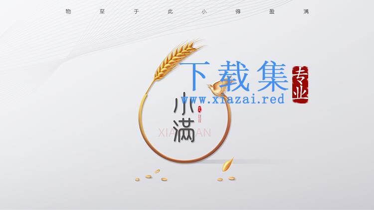 金色麦穗背景的极简风小满节气PPT模板下载