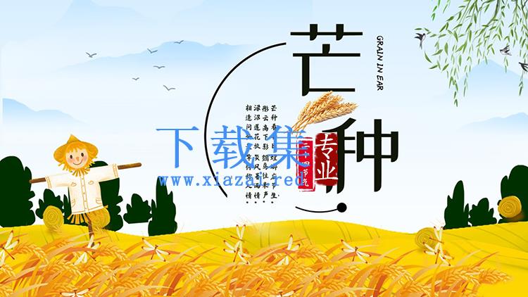 金黄色的麦田与稻草人背景的芒种节气介绍PPT模板