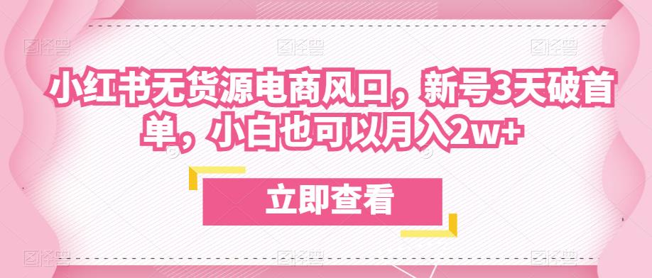 众狼电商余文小红书无货源电商风口，新号3天破首单，小白也可以月入2w+