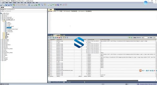 全面解析微信支付与小程序电商 基于SpringBoot2 Vue3和Element plus打造高效电商流程