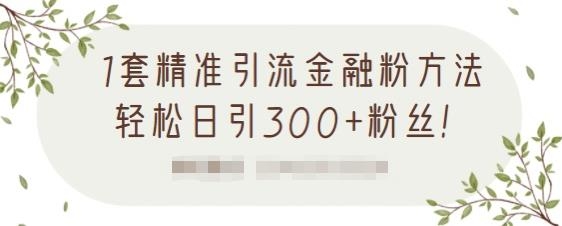 精准引流金融粉方法，轻松日引300+粉丝【视频课程】