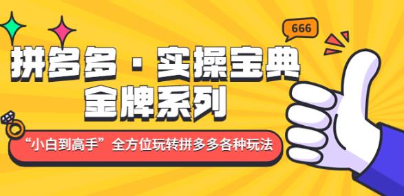 拼多多·实操宝典：金牌系列“小白到高手”带你全方位玩转拼多多各种玩法