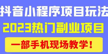 抖音小程序9.0新技巧，2023热门副业项目，动动手指轻松变现