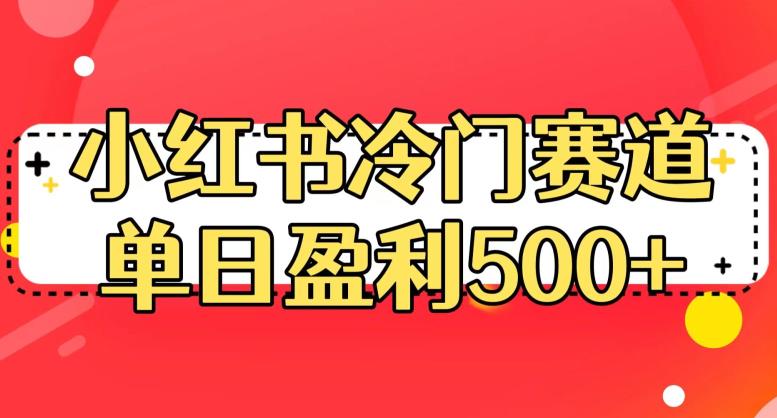 小红书冷门赛道，单日盈利500+【揭秘】