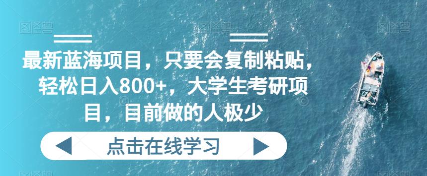 最新蓝海项目，只要会复制粘贴，轻松日入800+，大学生考研项目，目前做的人极少