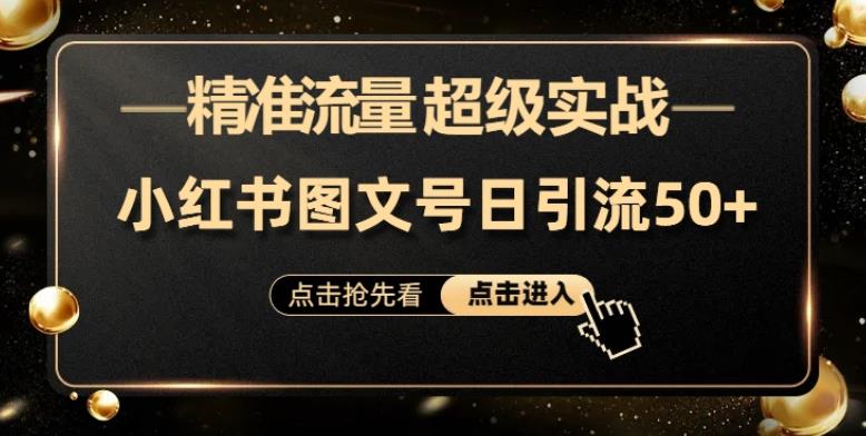 日引50+精准流量，小红书图文号，超级实战的小红书引流课，适合新手小白的项目