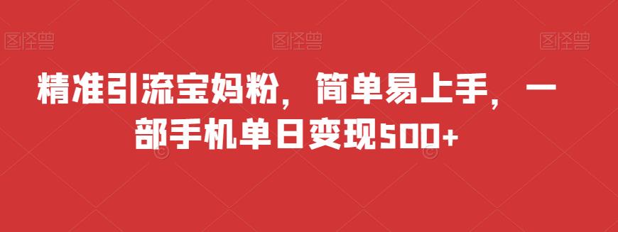 精准引流宝妈粉，简单易上手，一部手机单日变现500+