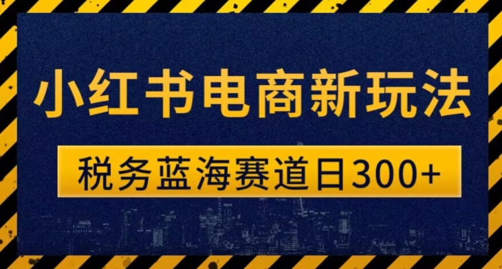 税务师小红书电商新玩法，知识撸金稳定300+