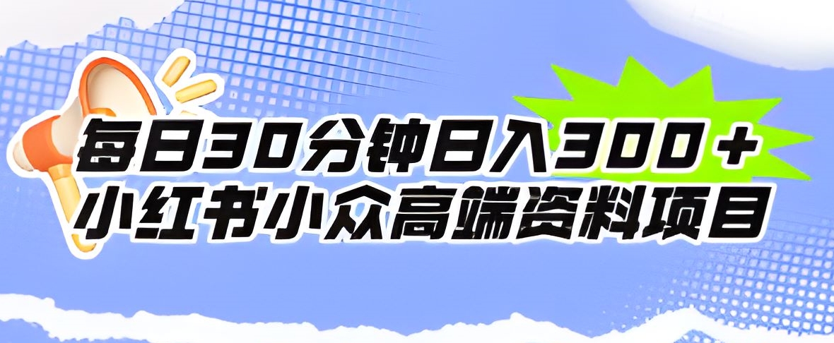 每日30分钟日入300＋小红书小众高端资料项目