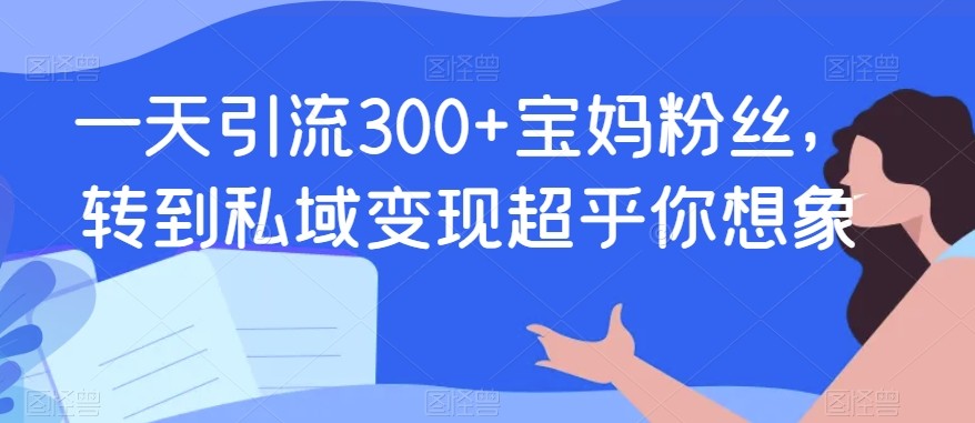 一天引流300+宝妈粉丝，转到私域变现超乎你想象