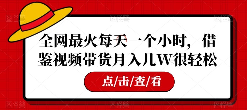 全网最火每天一个小时，借鉴视频带货月入几W很轻松【揭秘】