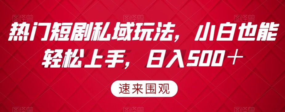 热门短剧私域玩法，小白也能轻松上手，日入500＋