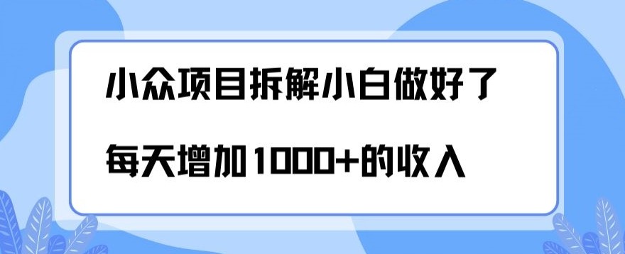 小众项目拆解，小白做好了每天可增加1000多的收入