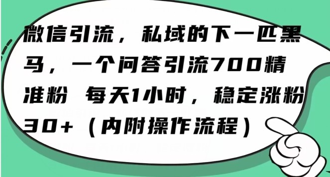 怎么搞精准创业粉？微信新赛道，每天一小时，利用Ai一个问答日引100精准粉