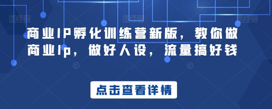 商业IP孵化训练营新版，教你做商业Ip，做好人设，流量搞好钱