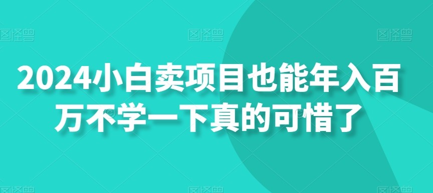 2024小白卖项目也能年入百万不学一下真的可惜了