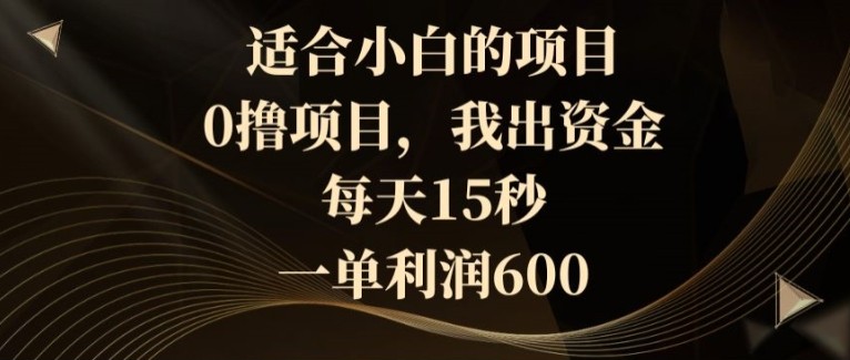 适合小白的项目，0撸项目，我出资金，每天15秒，一单利润600