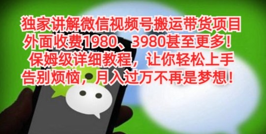 独家讲解微信视频号搬运带货项目，保姆级详细教程