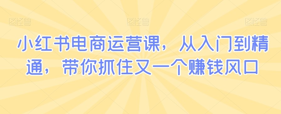 小红书电商运营课，从入门到精通，带你抓住又一个赚钱风口