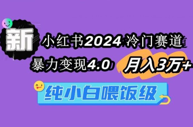 小红书2024冷门赛道一个月3万+暴力变现4.0纯小白喂饭级