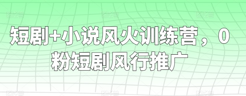 短剧+小说风火训练营，0粉短剧风行推广