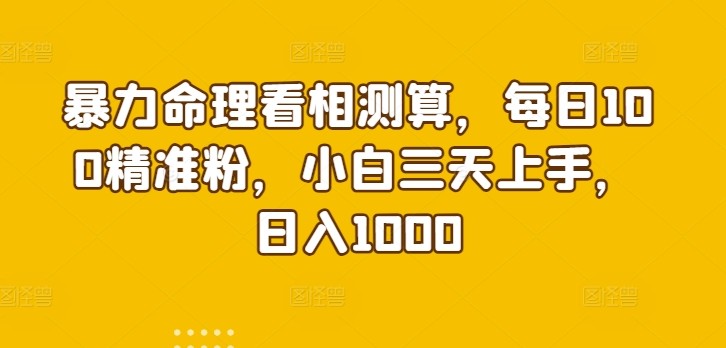 暴力命理看相测算，每日100精准粉，小白三天上手，日入1000