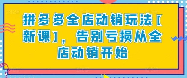 拼多多全店动销玩法【新课】，告别亏损从全店动销开始