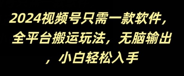 2024视频号只需一款软件，全平台搬运玩法，无脑输出，新手小白也能月入过千