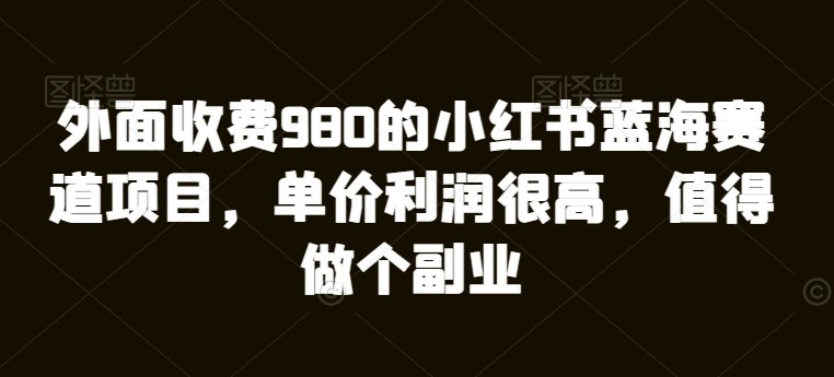 外面收费980的小红书蓝海赛道项目，单价利润很高，值得做个副业