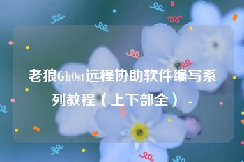 老狼Gh0st远程协助软件编写系列教程（上下部全） -