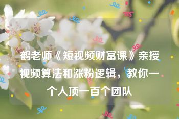 鹤老师《短视频财富课》亲授视频算法和涨粉逻辑，教你一个人顶一百个团队