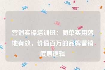 营销实操培训班：简单实用落地有效，价值百万的品牌营销底层逻辑