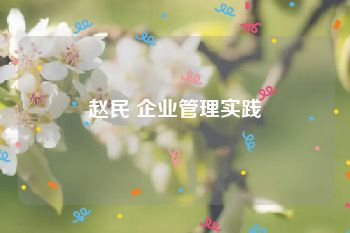 赵民 企业管理实践