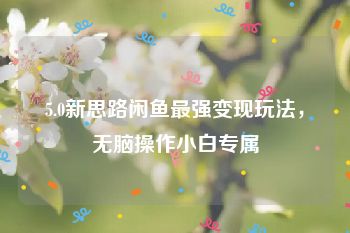 5.0新思路闲鱼最强变现玩法，无脑操作小白专属