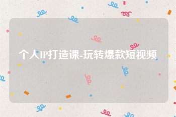 个人IP打造课-玩转爆款短视频