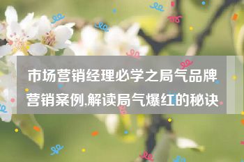 市场营销经理必学之局气品牌营销案例,解读局气爆红的秘诀