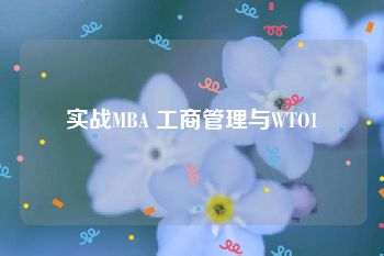 实战MBA 工商管理与WTO1