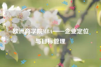 欧洲商学院MBA——企业定位与目标管理