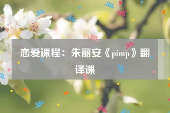 恋爱课程：朱丽安《pimp》翻译课