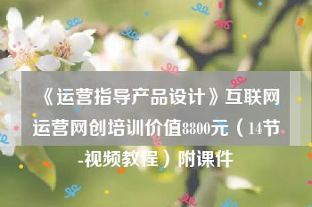 《运营指导产品设计》互联网运营网创培训价值8800元（14节-视频教程）附课件