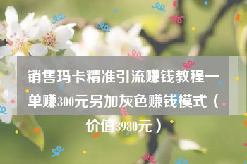 销售玛卡精准引流赚钱教程一单赚300元另加灰色赚钱模式（价值3980元）