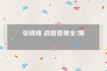 张晓峰 战略管理全7集
