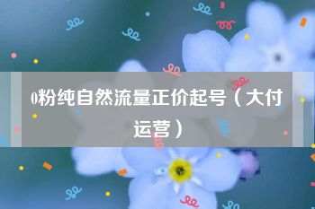 0粉纯自然流量正价起号（大付运营）